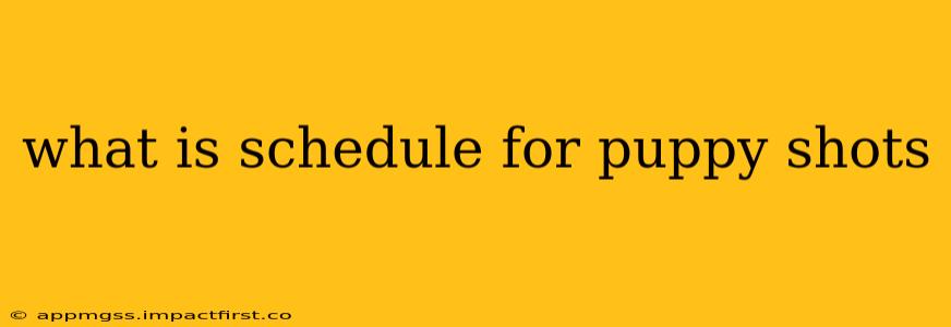 what is schedule for puppy shots