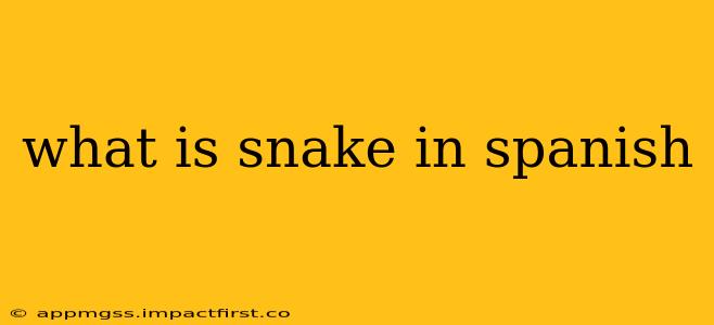 what is snake in spanish