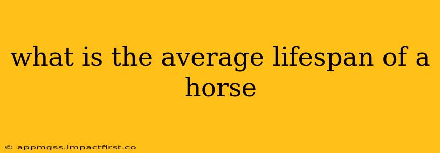what is the average lifespan of a horse
