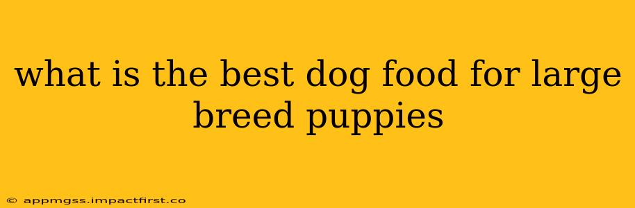 what is the best dog food for large breed puppies