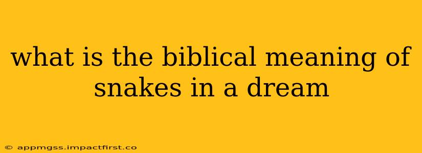 what is the biblical meaning of snakes in a dream