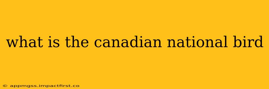 what is the canadian national bird