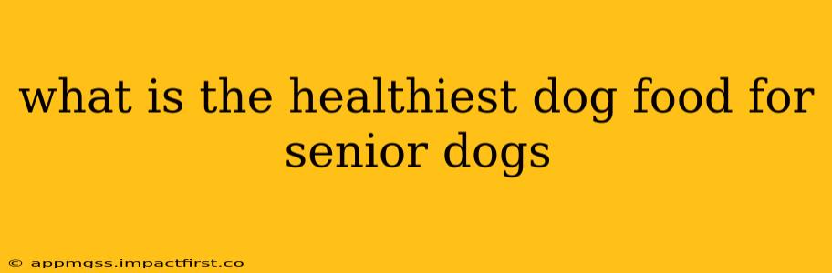 what is the healthiest dog food for senior dogs