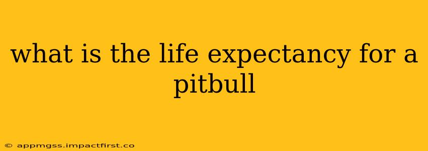 what is the life expectancy for a pitbull