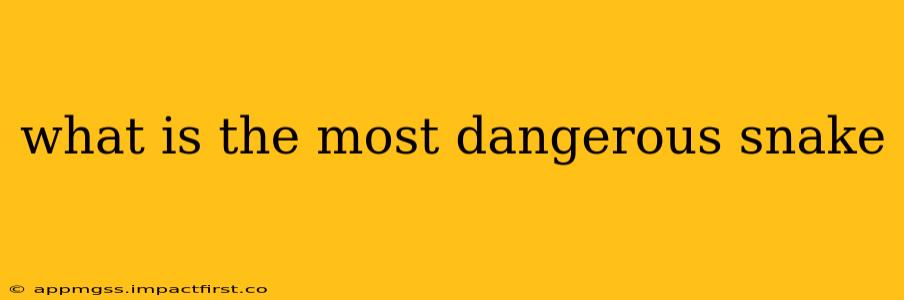 what is the most dangerous snake