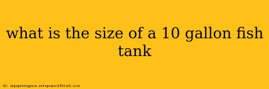 what is the size of a 10 gallon fish tank