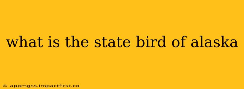 what is the state bird of alaska
