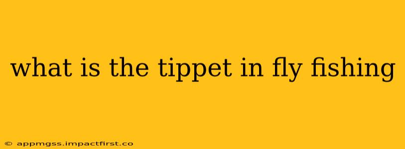 what is the tippet in fly fishing