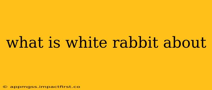what is white rabbit about
