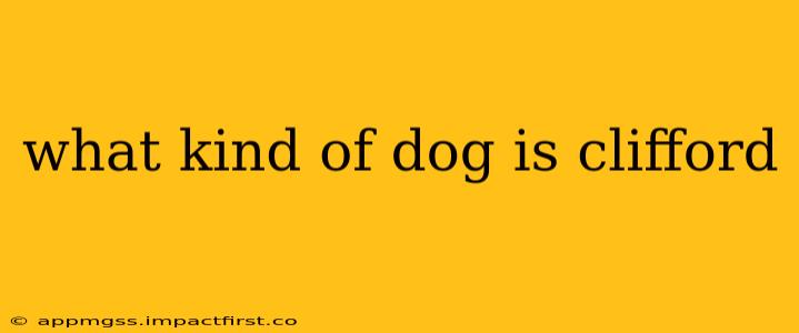 what kind of dog is clifford