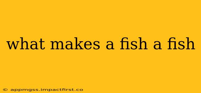 what makes a fish a fish