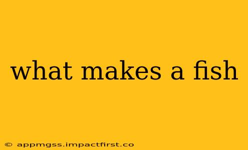 what makes a fish