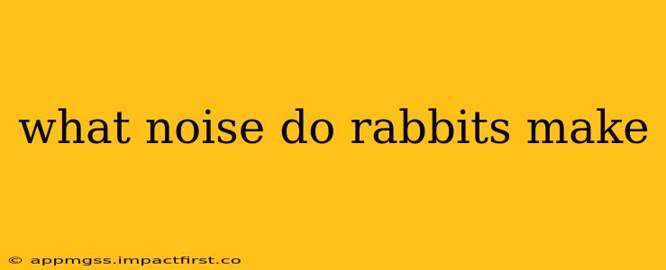 what noise do rabbits make