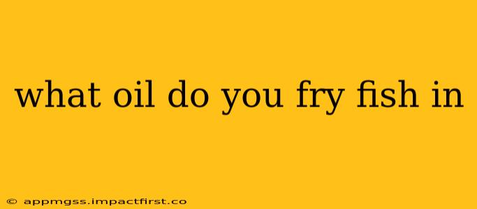 what oil do you fry fish in