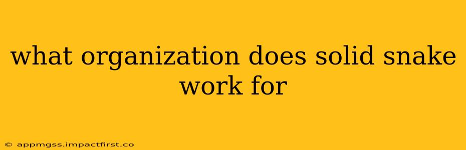 what organization does solid snake work for