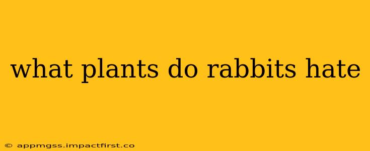 what plants do rabbits hate