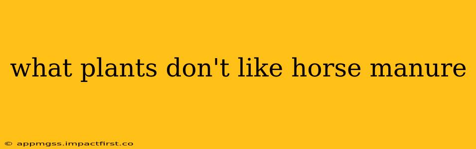 what plants don't like horse manure