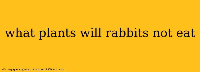what plants will rabbits not eat