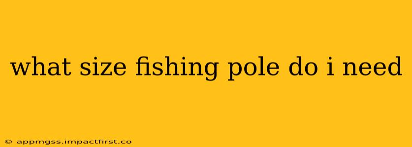 what size fishing pole do i need