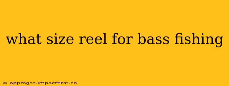 what size reel for bass fishing