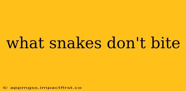 what snakes don't bite