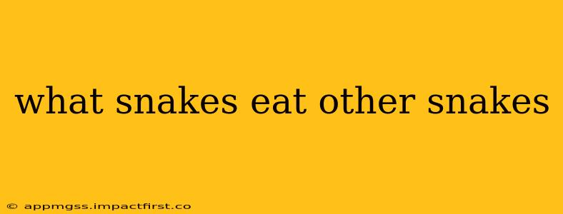 what snakes eat other snakes