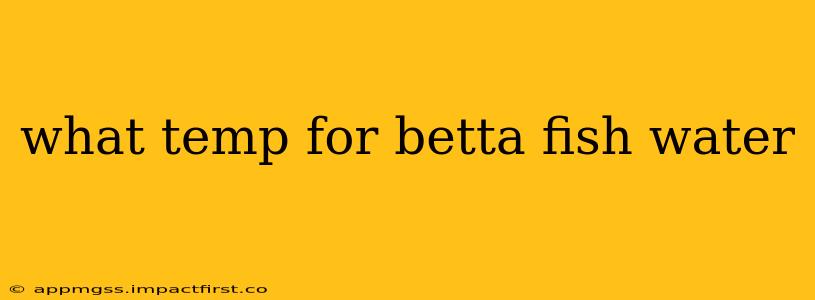 what temp for betta fish water