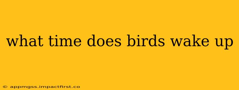 what time does birds wake up