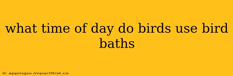 what time of day do birds use bird baths