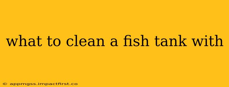 what to clean a fish tank with