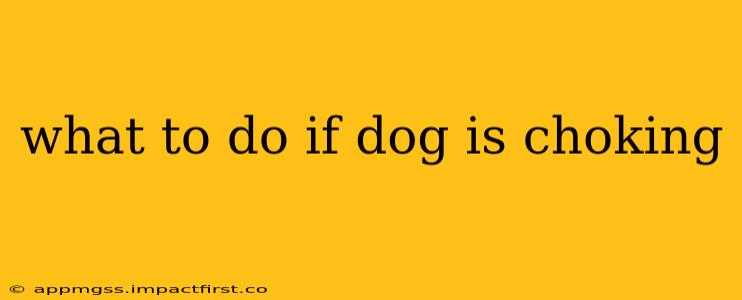 what to do if dog is choking