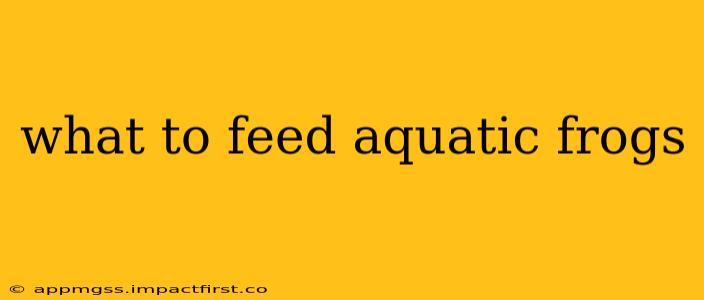 what to feed aquatic frogs