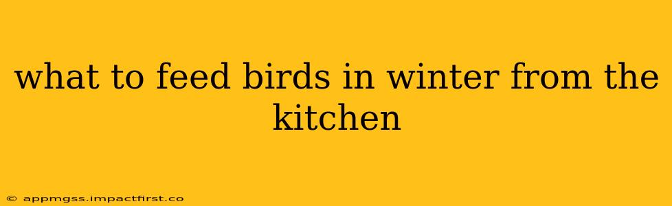 what to feed birds in winter from the kitchen