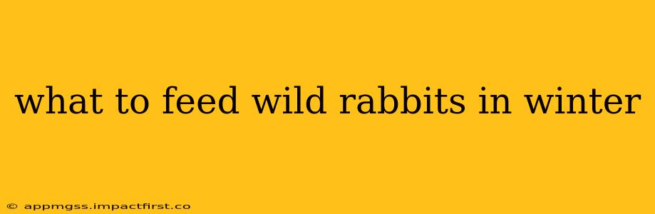 what to feed wild rabbits in winter