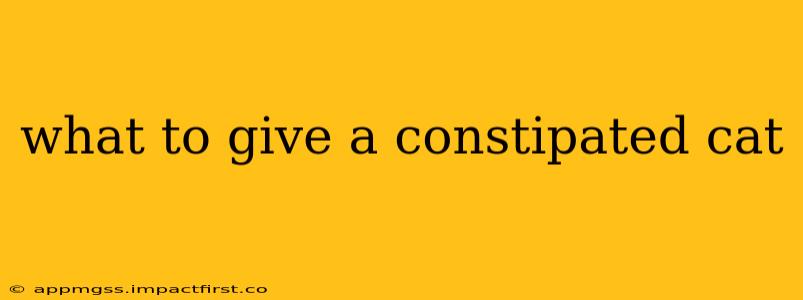 what to give a constipated cat