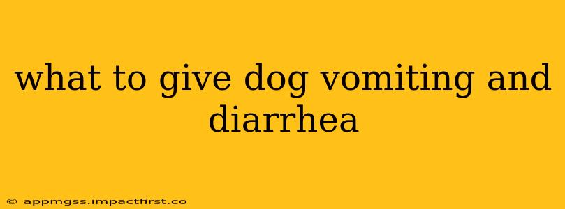 what to give dog vomiting and diarrhea