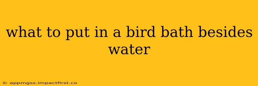 what to put in a bird bath besides water