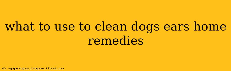 what to use to clean dogs ears home remedies