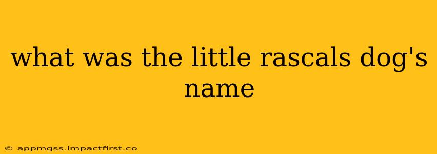 what was the little rascals dog's name