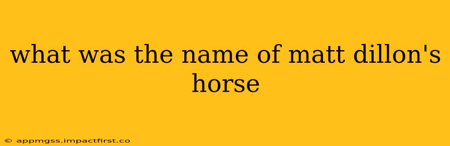 what was the name of matt dillon's horse