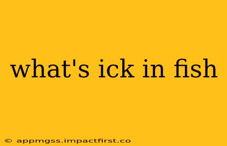 what's ick in fish