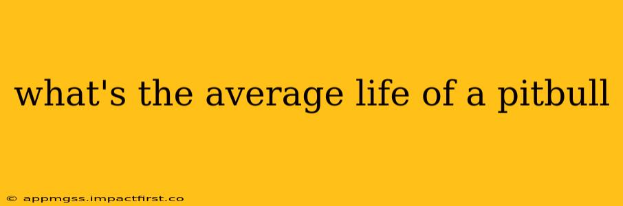 what's the average life of a pitbull