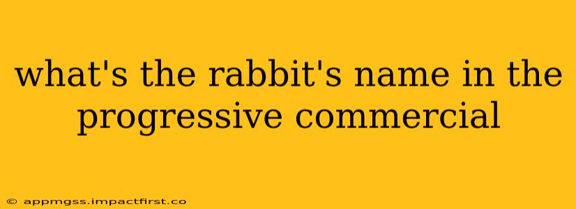 what's the rabbit's name in the progressive commercial