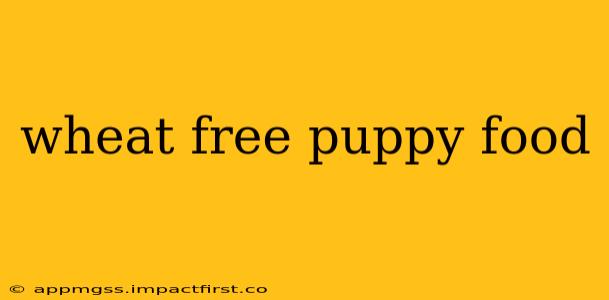 wheat free puppy food