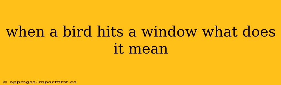 when a bird hits a window what does it mean