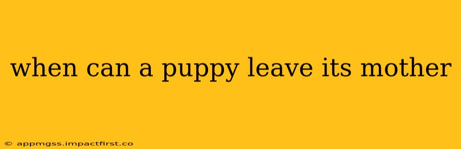 when can a puppy leave its mother