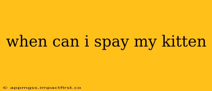 when can i spay my kitten