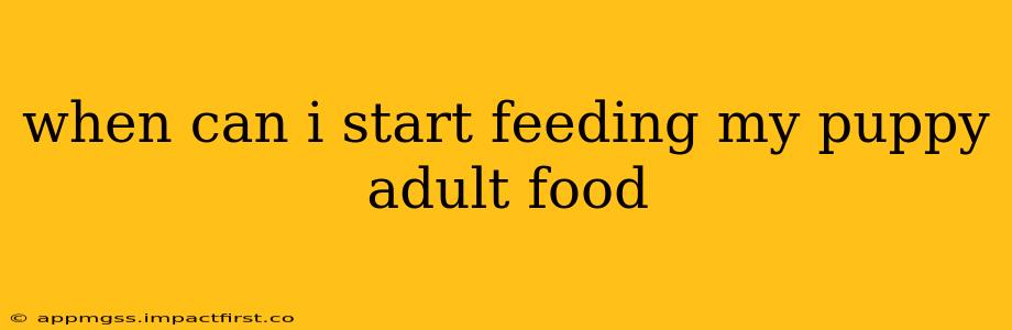 when can i start feeding my puppy adult food