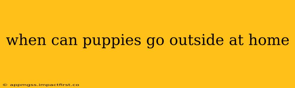 when can puppies go outside at home