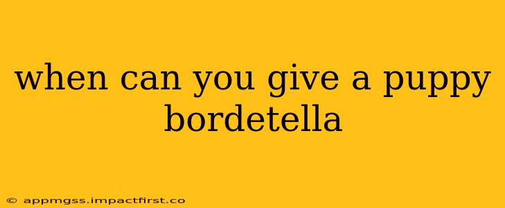 when can you give a puppy bordetella